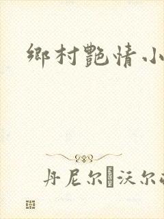 乡村艳情小说封面