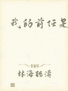 我的前任是极品