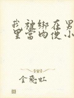 我被绑在男公厕里当肉便小说