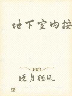 地下室肉按摩椅