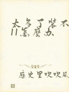 太多了装不下h11怎么办