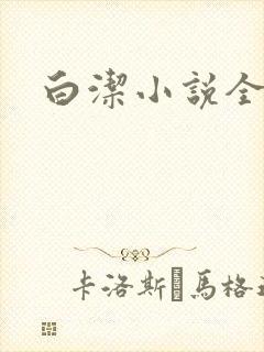 白洁小说全文