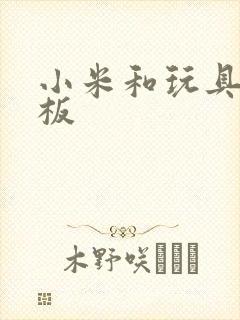 小米和玩具店老板