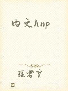 肉文hnp