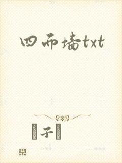 四面墙txt