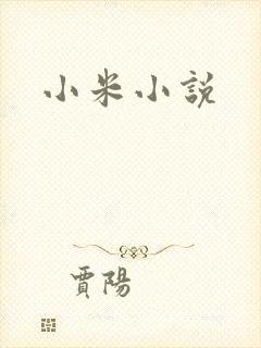 小米小说封面