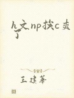 h文np挨c爽了