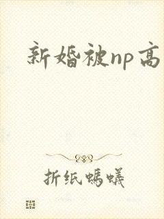 新婚被np高h