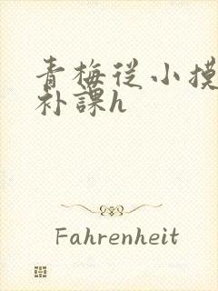 青梅从小摸到大补课h