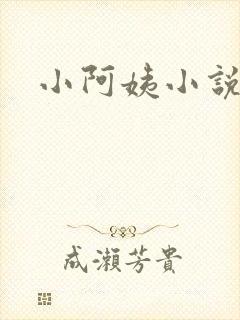 《小阿姨小说》小说封面