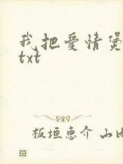 我把爱情煲成汤txt