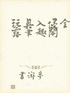 玩具入侵金银花露笔趣阁