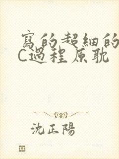 写的超细的多肉C过程原耽