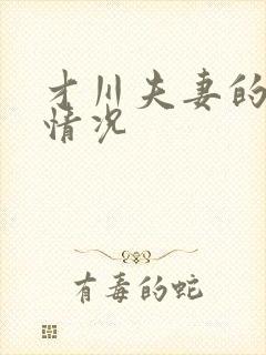 才川夫妻的恋爱情况