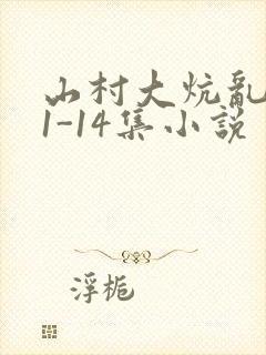 山村大炕乱肉续1-14集小说