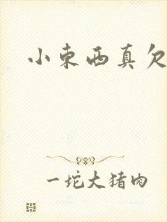 小东西真欠弄