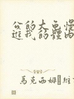 公的大龟慢慢挺进我的体内