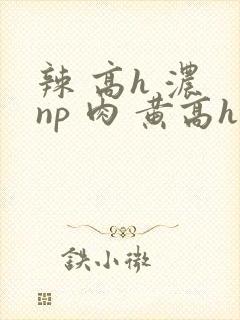 辣 高h 浓 np 肉 黄高h