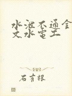 水泄不通金银原文水电工