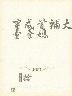 穿成首辅大人的童养媳