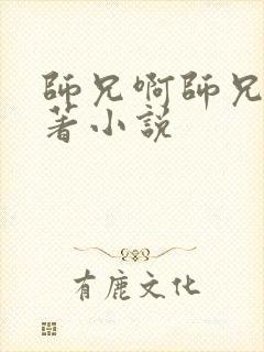 师兄啊师兄的原著小说