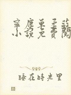 宁尘单柔苏千雪小说免费阅读最新