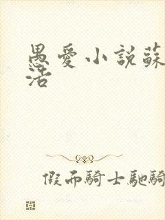 愚爱小说苏倩孙浩