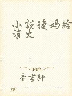 小说后妈给我消消火