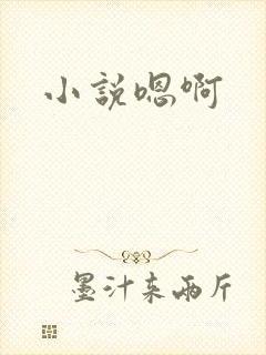 小说嗯啊
