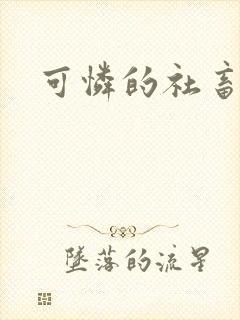 可怜的社畜分手