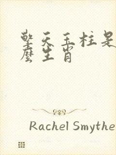 擎天玉柱是指什么生肖封面