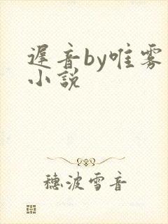 迟音by唯雾的小说