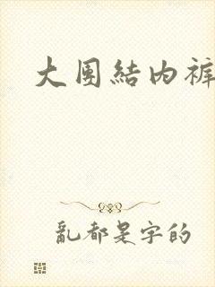 大团结内裤奇缘封面