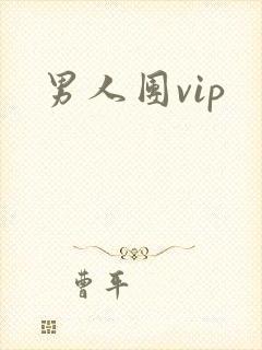 男人团vip