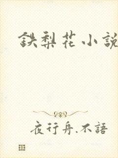 铁梨花小说