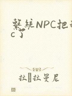 系统NPC把我c了