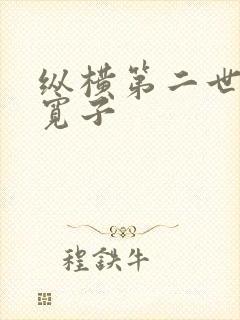 纵横第二世界 宽子