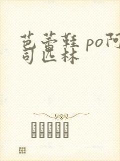 芭蕾鞋 po阿司匹林