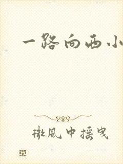 一路向西小说