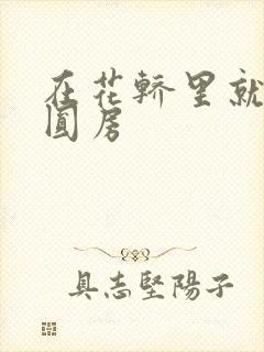 在花轿里就开始圆房封面