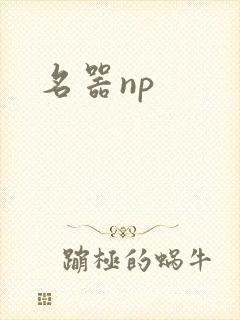 名器np