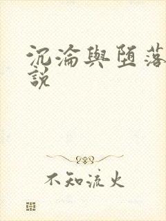 沉沦与堕落的小说