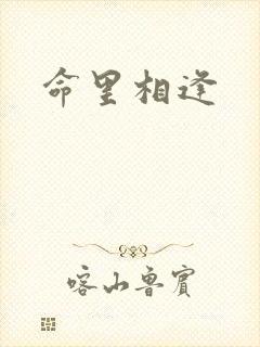 命里相逢