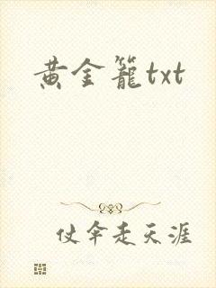 黄金笼txt