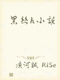 黑丝h小说