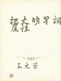 把大明星调成专属性