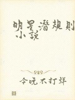 明星潜规则之皇 小说