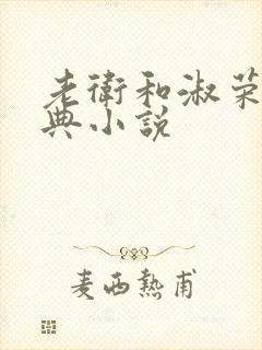 老卫和淑荣的经典小说