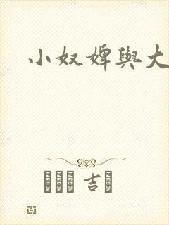 小奴婢与大少爷