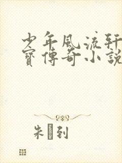 少年风流轩辕大宝传奇小说